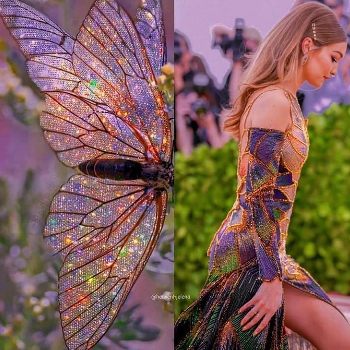 The Butterfly Fever
